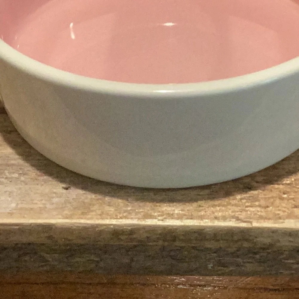 Rae Dunn PAWS OFF Pet Bowl